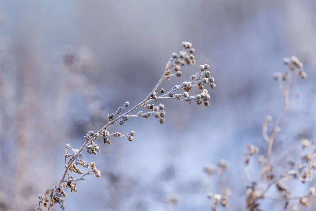 小雪 ▎冬藏萬(wàn)物，歲月沉香